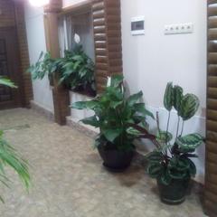 Гостевой дом Марина, Домодедово, Московская область