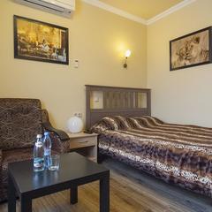 Мини-отель Ной, Домодедово, Московская область