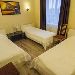 Мини-отель Ной, Домодедово, Московская область