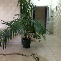 Гостевой дом Марина, Домодедово, Московская область