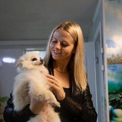 Гостевой дом Востряково, Домодедово, Московская область