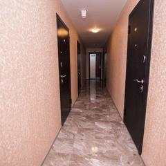 Гостевой дом Домодедово, Домодедово, Московская область