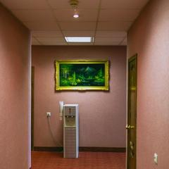 Гостиница Татьяна, Домодедово, Московская область