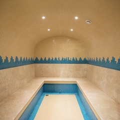 Гостиница Diamant Village, Домодедово, Московская область