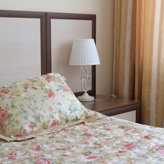 Гостиница Оазис в лесу, Домодедово, Московская область