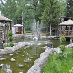 Гостиница Оазис в лесу, Домодедово, Московская область