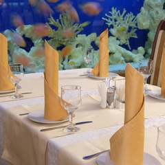 Гостиница Оазис в лесу, Домодедово, Московская область