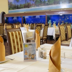 Гостиница Оазис в лесу, Домодедово, Московская область