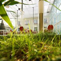 Отель De`Lore, Домодедово, Московская область