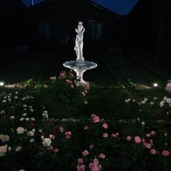 Гостевой дом Цветочная 24, Домодедово, Московская область