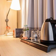 Отель Ибис Москва Аэропорт Домодедово, Домодедово, Московская область