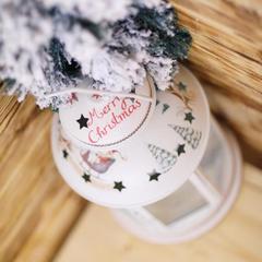 Гостевой дом Цветочная 24, Домодедово, Московская область