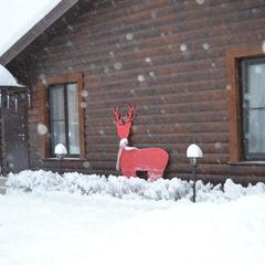 Гостевой дом Цветочная 24, Домодедово, Московская область