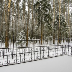Загородный клуб LaFa Club, Домодедово, Московская область