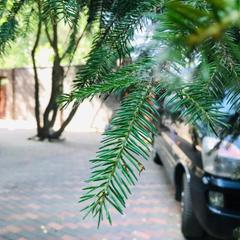 Гостиница Звёздная, Домодедово, Московская область