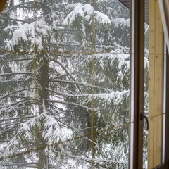 Загородный клуб LaFa Club, Домодедово, Московская область