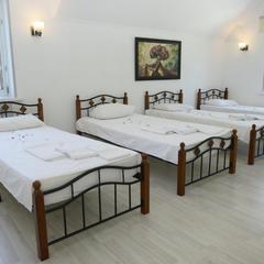 Гостевой дом DeltaFly, Домодедово, Московская область