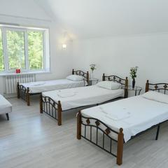 Гостевой дом DeltaFly, Домодедово, Московская область