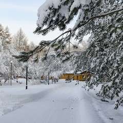 Загородный клуб LaFa Club, Домодедово, Московская область