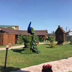 Отель Плазма, Донской, Тульская область