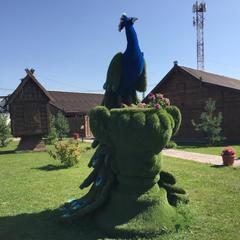 Отель Плазма, Донской, Тульская область