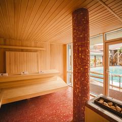 Спа-отель Dolphin Planet, Дубки (Ярославская область), Ярославская область