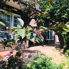 Гостиница Звёздная, Домодедово, Московская область