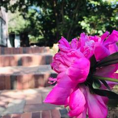 Гостиница Звёздная, Домодедово, Московская область