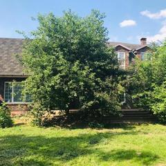 Гостиница Звёздная, Домодедово, Московская область