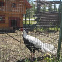 Отель Плазма, Донской, Тульская область