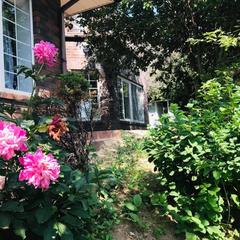 Гостиница Звёздная, Домодедово, Московская область