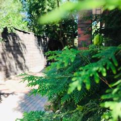 Гостиница Звёздная, Домодедово, Московская область