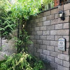 Гостиница Звёздная, Домодедово, Московская область