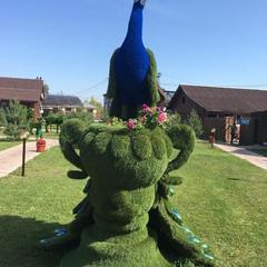 Отель Плазма, Донской, Тульская область