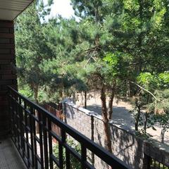 Гостиница Звёздная, Домодедово, Московская область