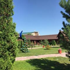 Отель Плазма, Донской, Тульская область