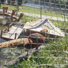 Отель Плазма, Донской, Тульская область