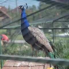 Отель Плазма, Донской, Тульская область