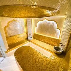 Отель Плазма, Донской, Тульская область