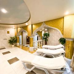 Отель Плазма, Донской, Тульская область