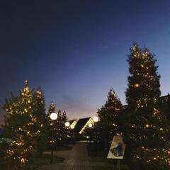 Отель Плазма, Донской, Тульская область