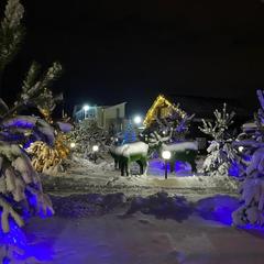 Отель Плазма, Донской, Тульская область