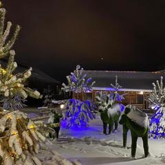 Отель Плазма, Донской, Тульская область