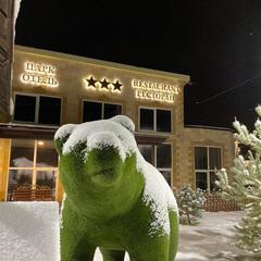 Отель Плазма, Донской, Тульская область