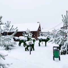 Отель Плазма, Донской, Тульская область