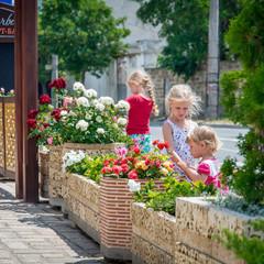  Этно-отель Джеваль, Евпатория, Крым