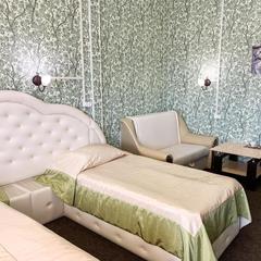 Отель Плазма, Донской, Тульская область