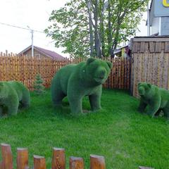 Отель Плазма, Донской, Тульская область