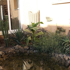 Гостиница Крым, Евпатория, Крым