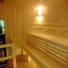 Отель Плазма, Донской, Тульская область